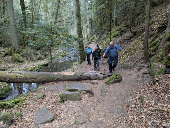 Wanderung mit Übernachtung, 
Monbachtal Bad Liebenzell
13. April 2025